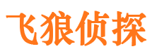 榆树市私家侦探